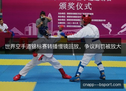世界空手道锦标赛转播慢镜回放，争议判罚被放大